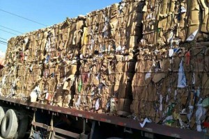 美国回收纸盒厂家电话号码（美国有废纸箱回收的吗）